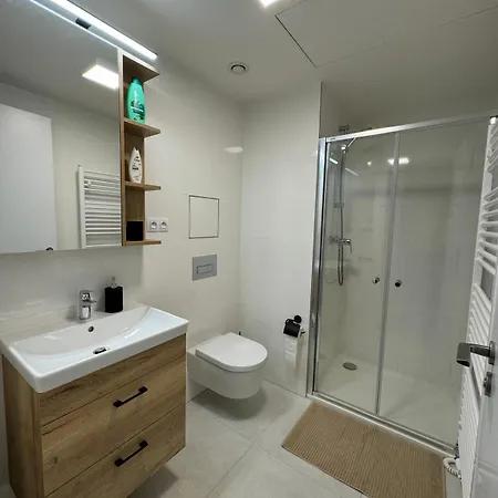 Apartment Smichov *