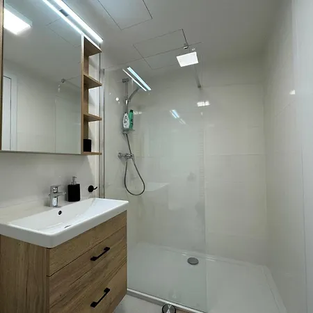 Apartment Smichov *